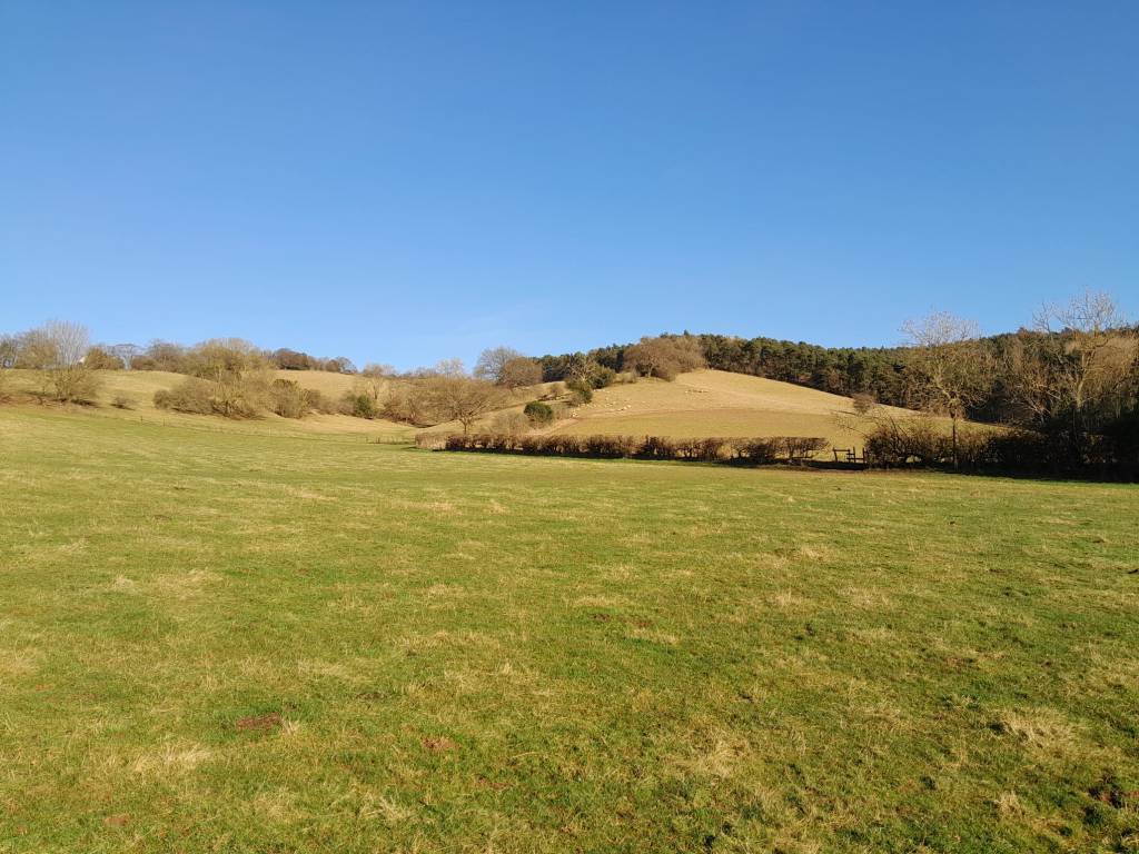 Trail Running At Clent Hills Today: From Winter Blues To Blue&nbsp;Skies!